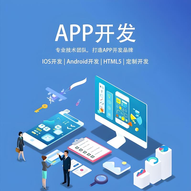 信息化系统建设
